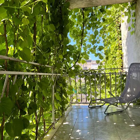 Center Vodice