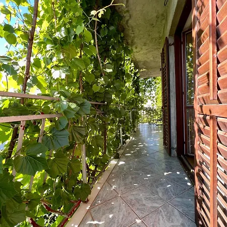 Center Guest house