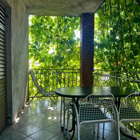 Center Guest house